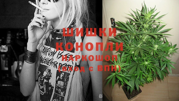 ешки Бронницы
